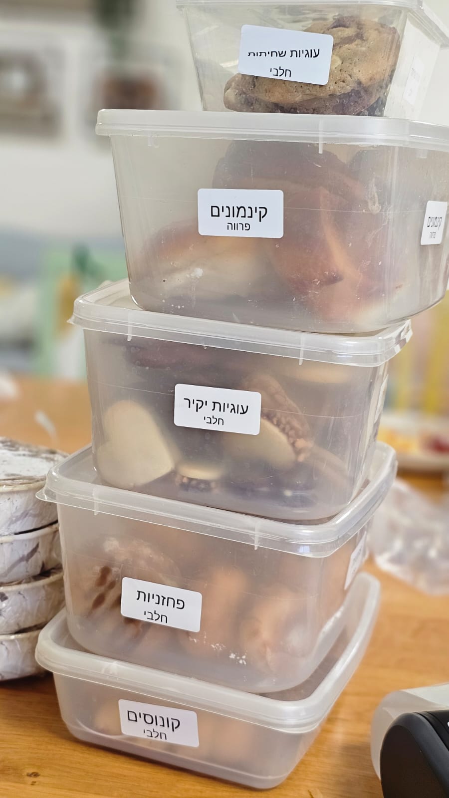 צילום: צופיה דרי